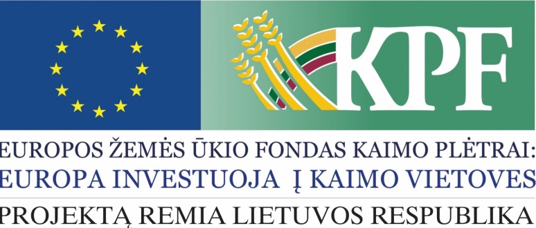 Įgyvendinamas projektas „Pasvalio rajono Pamažupių kaimo viešosios infrastruktūros įrengimas“