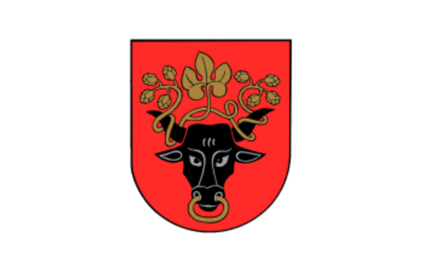 Šaukiamas Savivaldybės tarybos posėdis