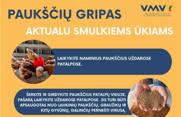 Paukščių gripas vėl Lietuvoje – židinys nustatytas Kaišiadorių rajone 