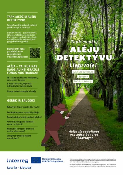 Atraskime medžių alėjas!