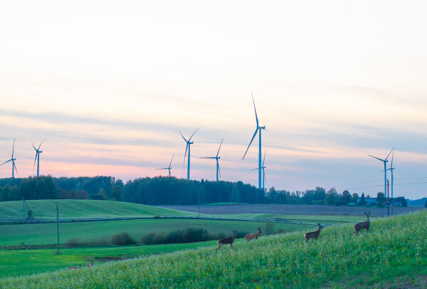 Informuocija apie ketinimą statyti vėjo elektrines ir vykdyti elektros energijos gamybą iš...