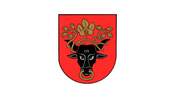 Šaukiamas Kontrolės komiteto posėdis