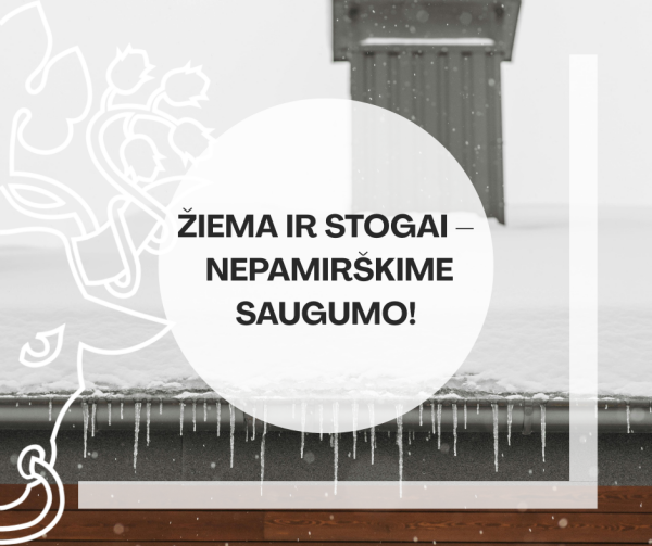 Statinių priežiūra žiemą