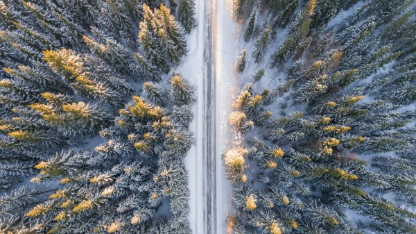 Atšaukiamas draudimas sunkiasvorio krovininio transporto eismui kai kuriuose Pasvalio rajono...