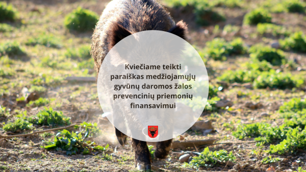 Kviečiame teikti paraiškas medžiojamųjų gyvūnų daromos žalos prevencinių priemonių finansavimui