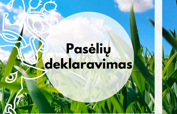Pasėlių deklaravimas